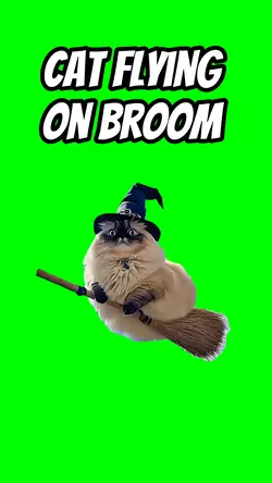 Cat flying on broom
