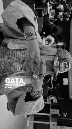 si las gatas