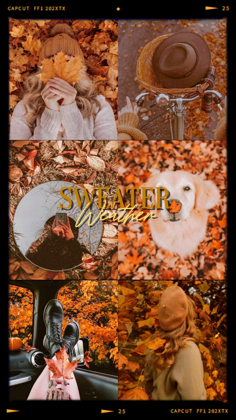 Sweater Weather 