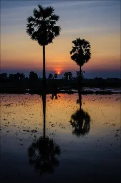 ភ្លេងការពិរោះ ….😁❤️