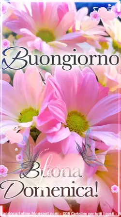 Domenica