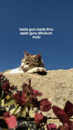 bahan story 