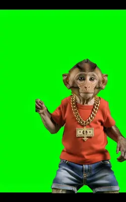 Monkey