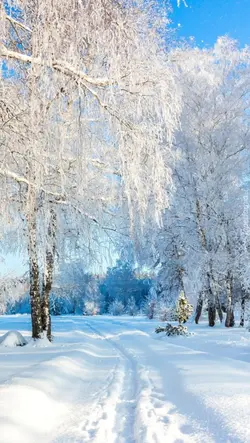 święta