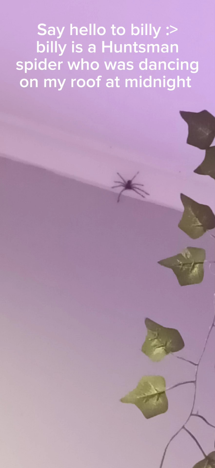 Say hi to Billy