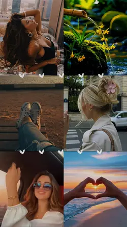 6 fotos 