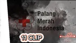 PMR PMI