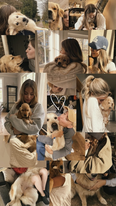 My dog 