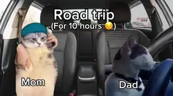 Road trip