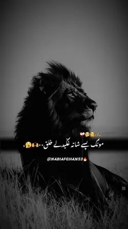 مونګ پسے شاته غګیدلے