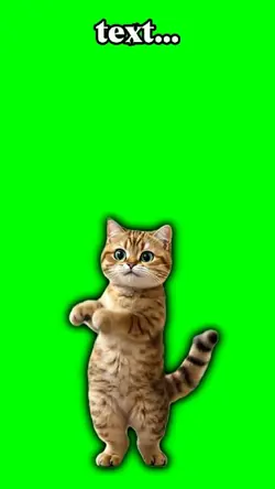DancingCAT
