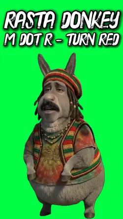 RASTA DONKEY M DOT R