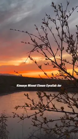 Kimseye minnet etmem