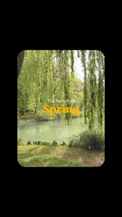 the beauty of spring