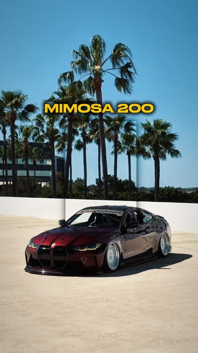 MIMOSA 2000