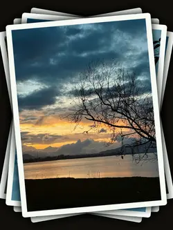 5Pic Aesthetic Trend