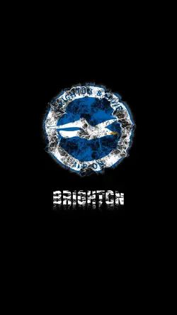 opening logo 