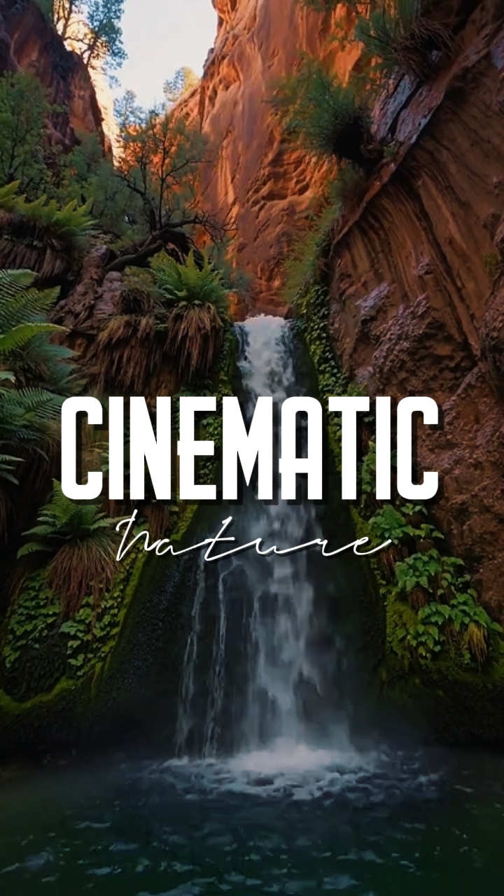 CINEMATIC NATURE 