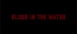 Billy&Max