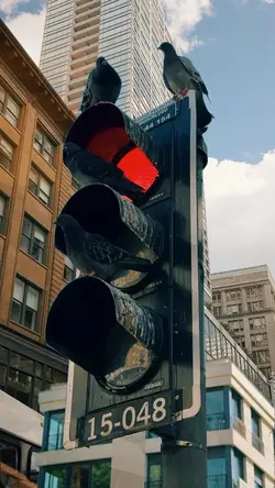 CUTOUT TRANSITION