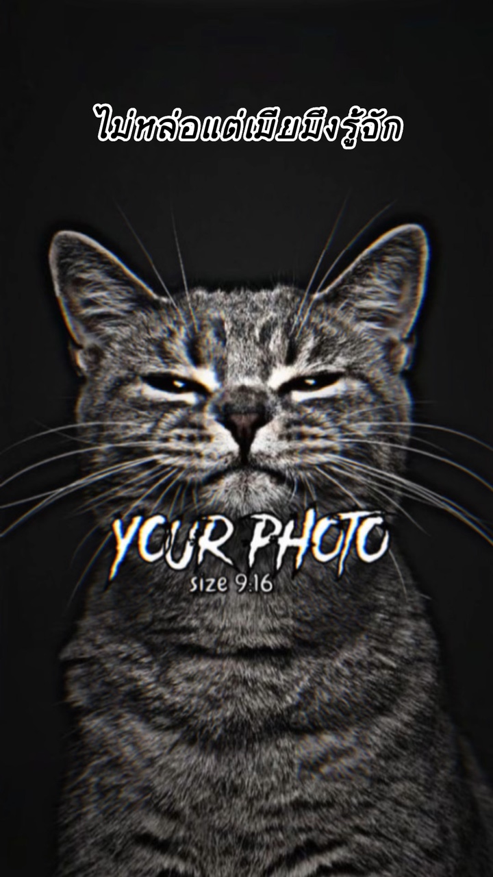 แบบเท่เท่