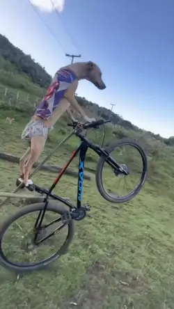 CRINGE VIDEO TREND 🐩