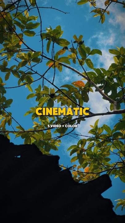Cinematic 5 video