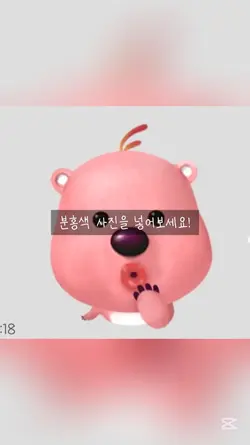 분홍색이나 빨간색 사진을 넣어주세요!