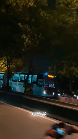 Trans Jakarta 
