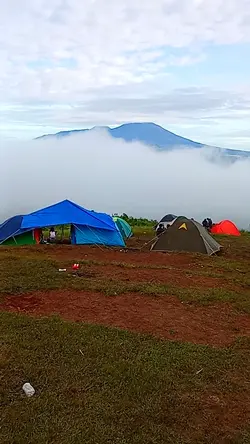 mentahan polos