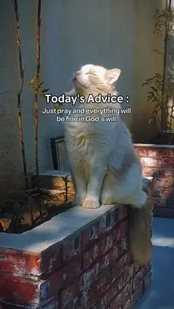Today's advice