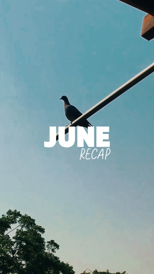 Resumen de junio