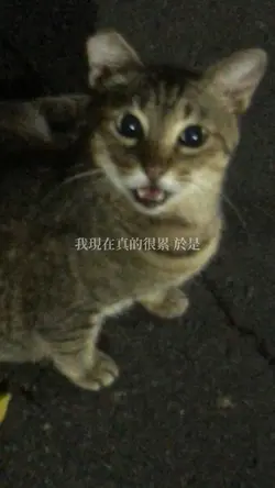 去北極忘記你 14段生活碎片