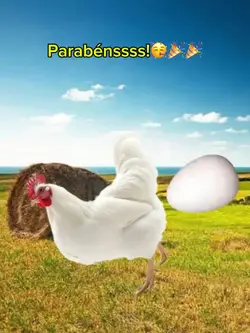 Parabéns engraçado 