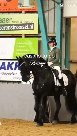 Dressage