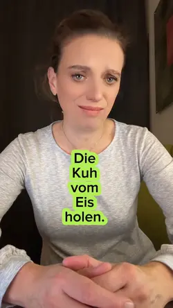 Kuh vom Eis holen