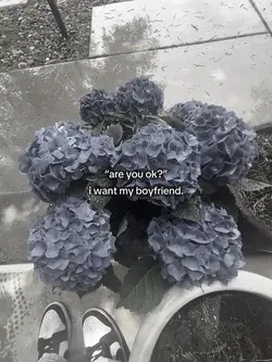 i want my boyfriend.