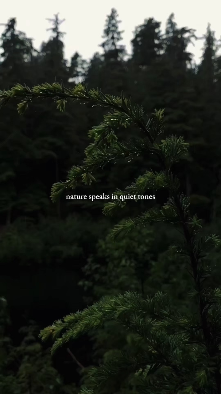 Nature