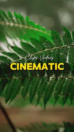 6 Videos Cinematic