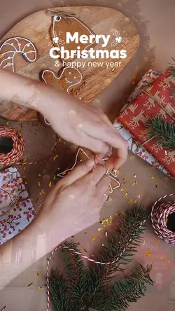 Christmas | New Year