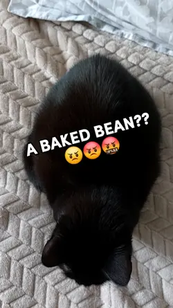 A baked bean..