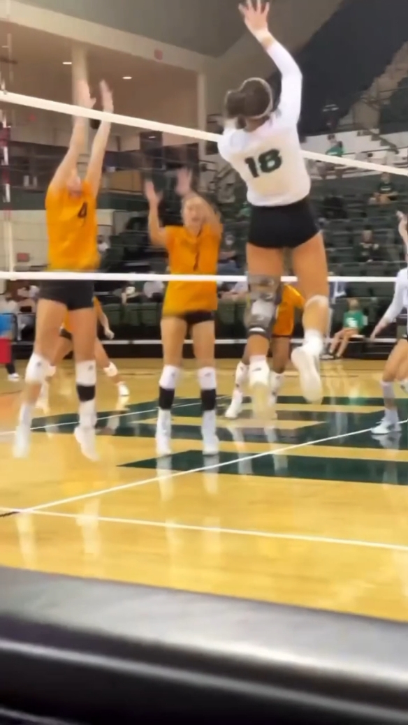 volleyball 