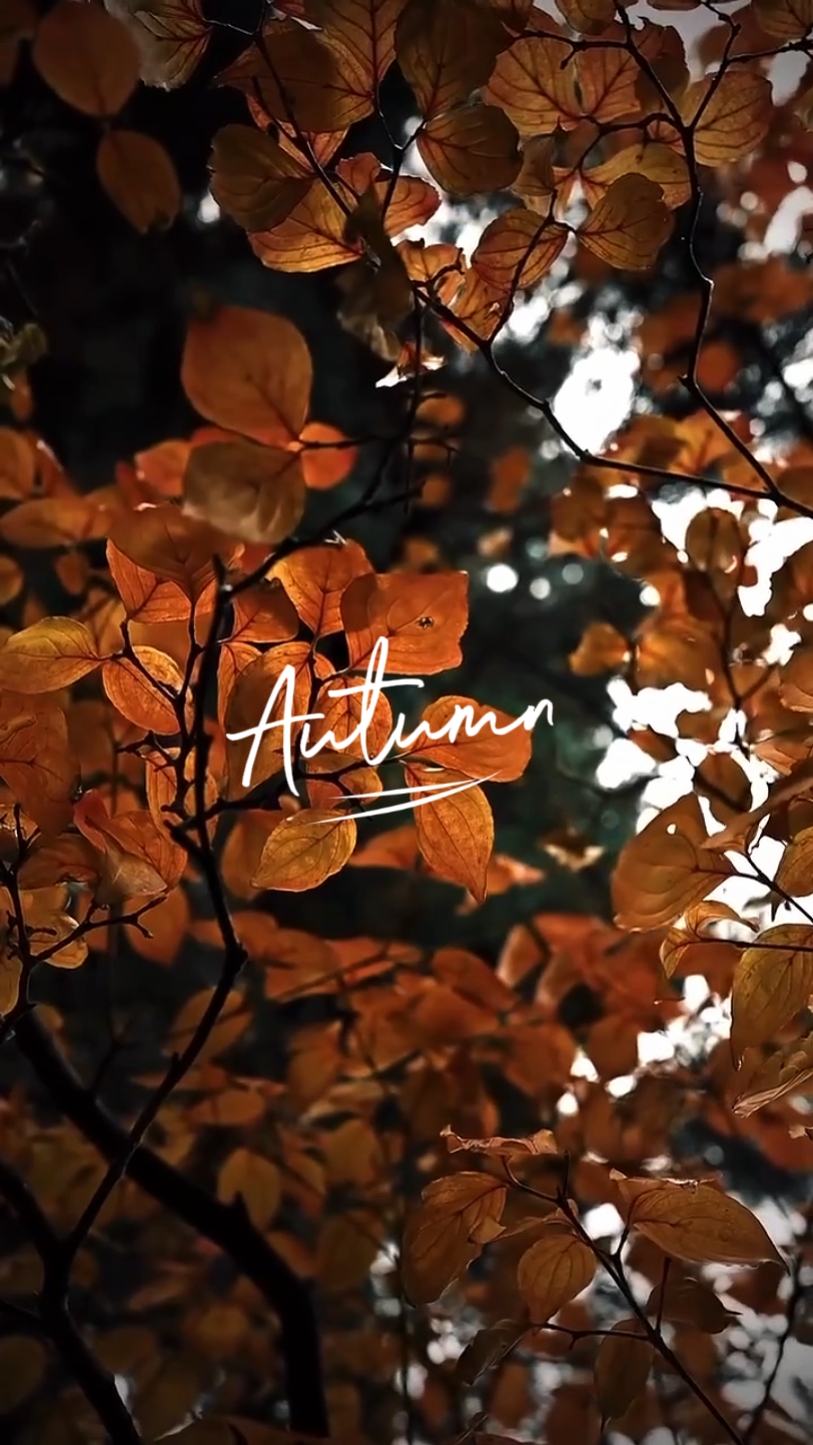 Herbst