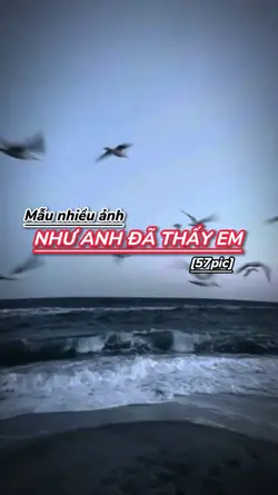 Mẫu nhiều ảnh [57]