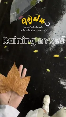 อารมณ์ raining