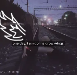 gonna grow wings.