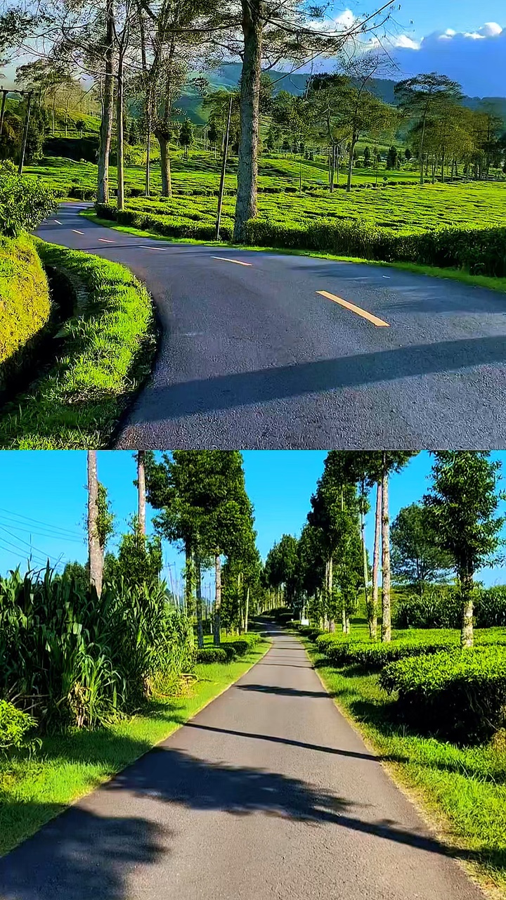 2 video 1 tata letak