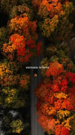 autumn is here 