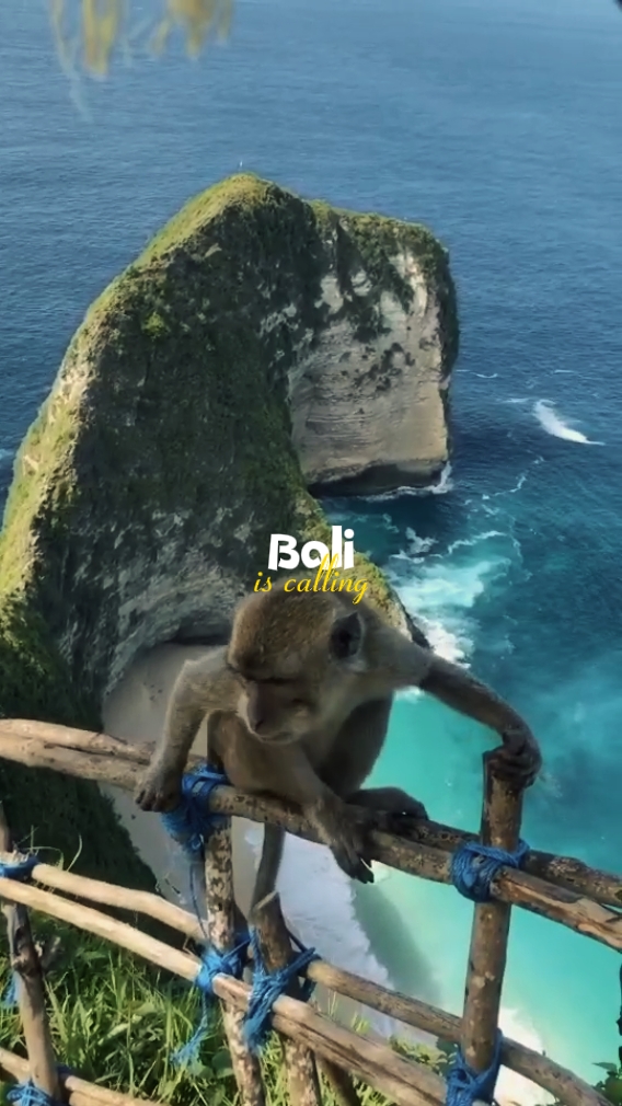 BALI IS CALLING