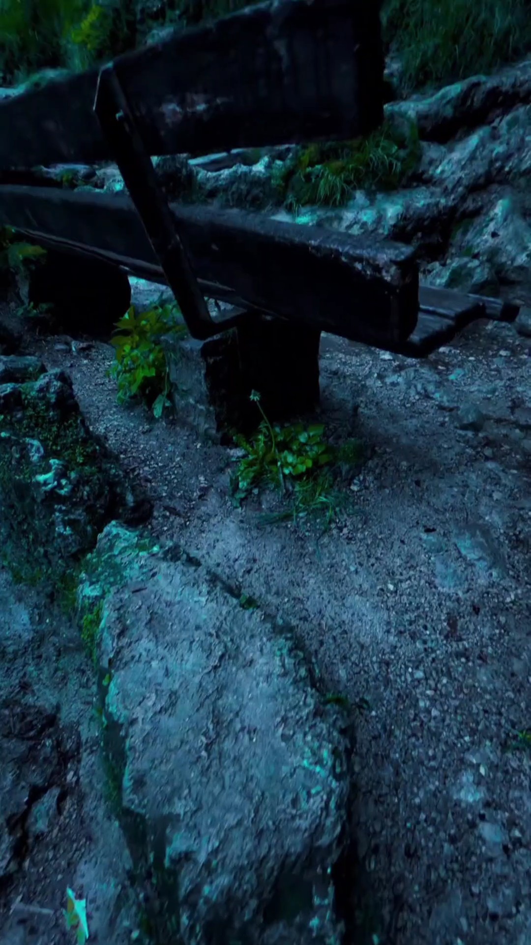 Enseñanzas 